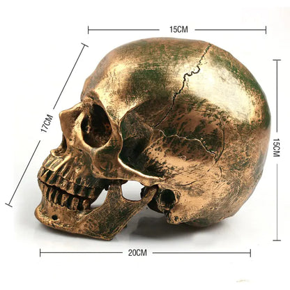 YOY™ Elegant Gold Skull Decor