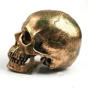YOY™ Elegant Gold Skull Decor